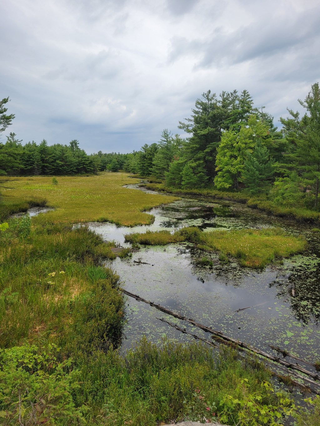 Six Mile Lake Provincial&nbsp;Park