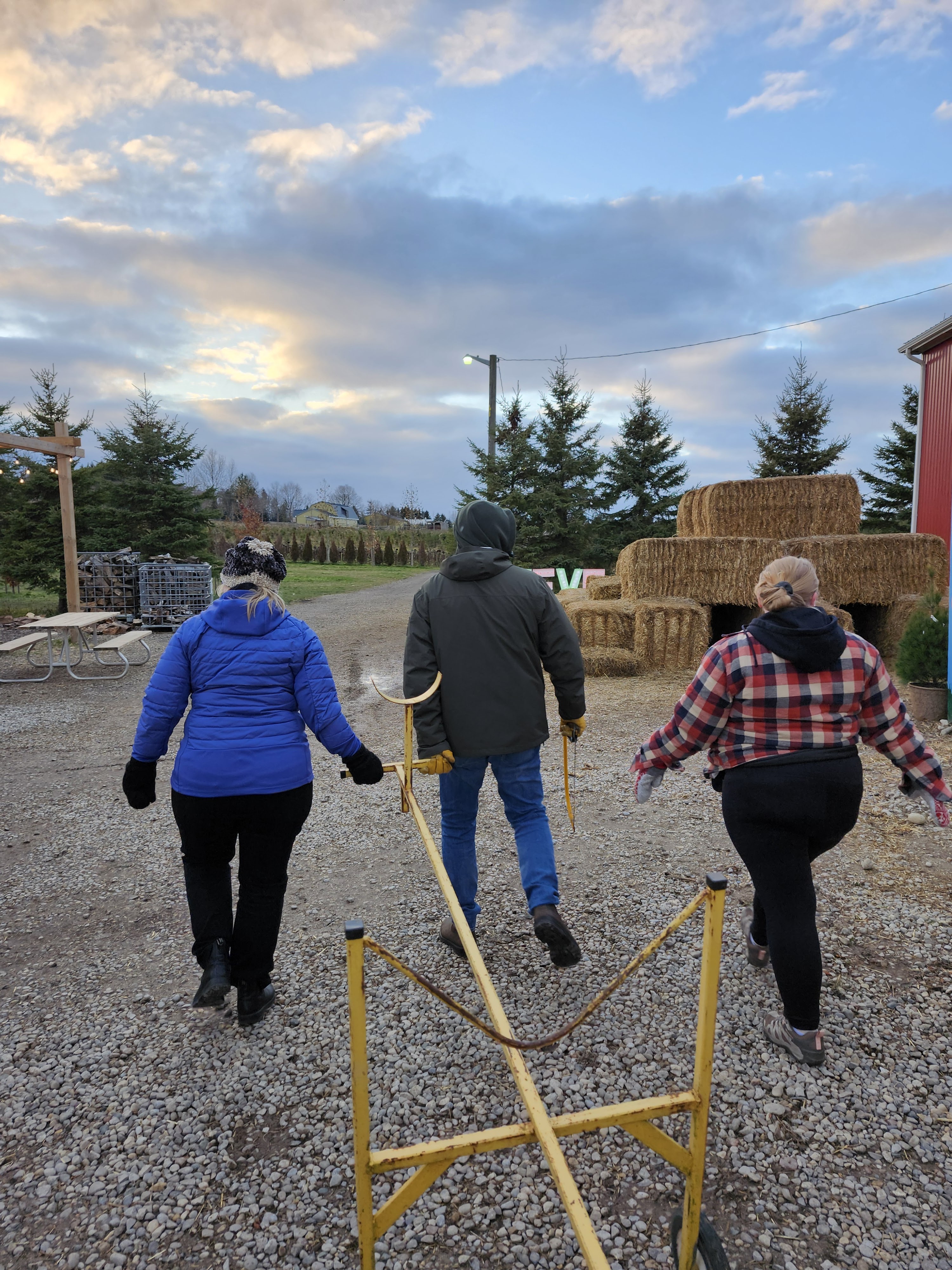 Benjamin Tree Farm – The Katie Chronicles